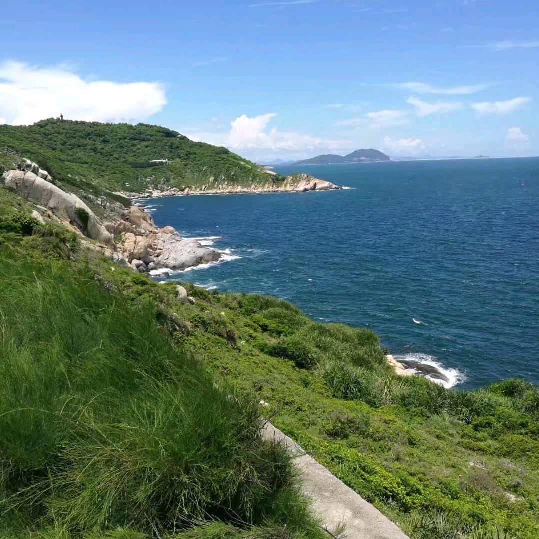 陈姐好物分享