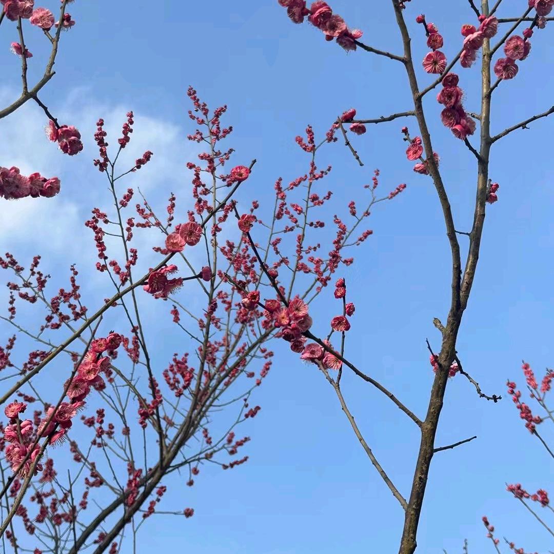 平安就是福