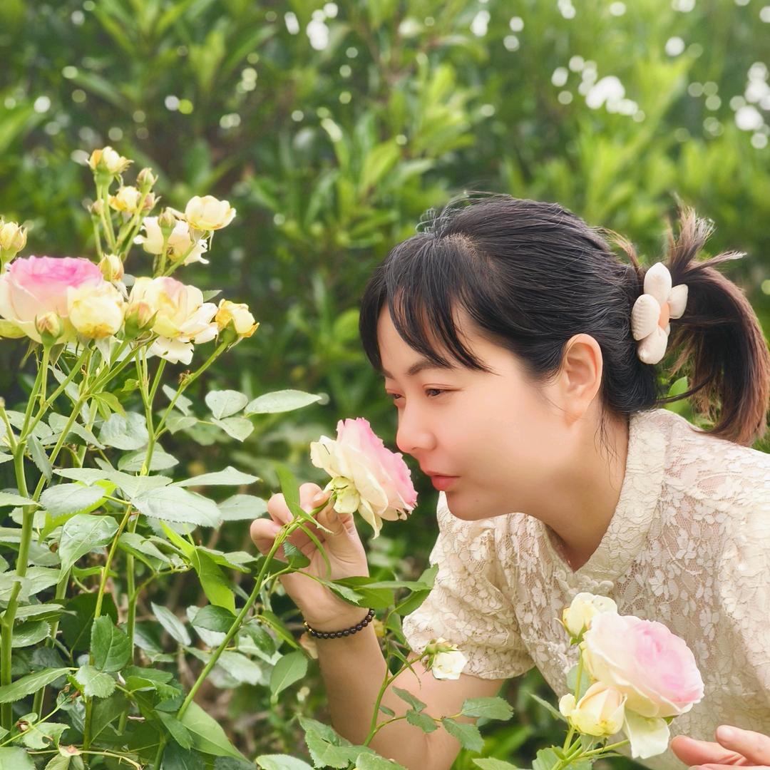 🍃白茶清欢🍃