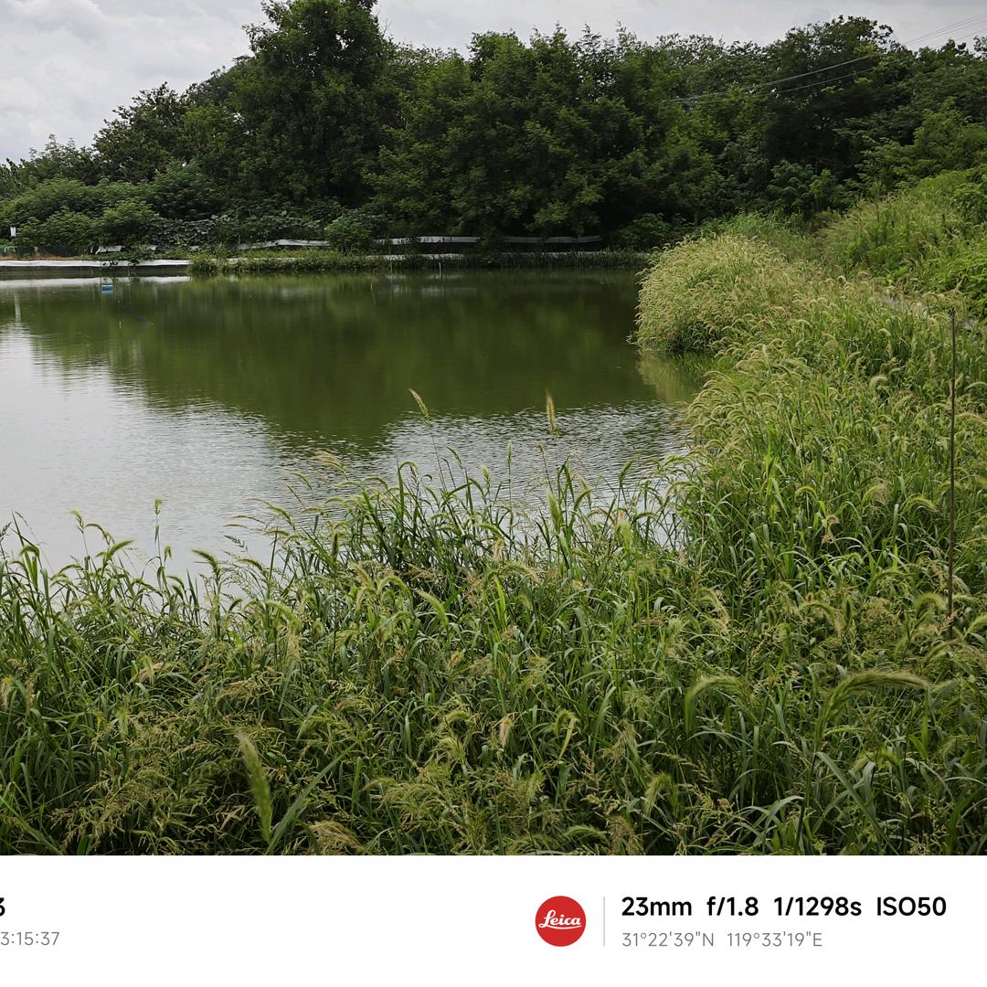 回忆自己快乐时光