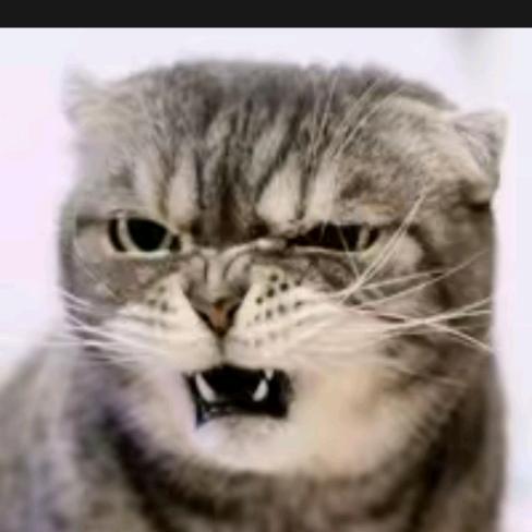 ❤️🇨🇳❤️