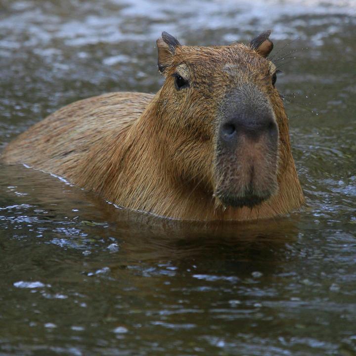 广州焱森网络科技有限公司