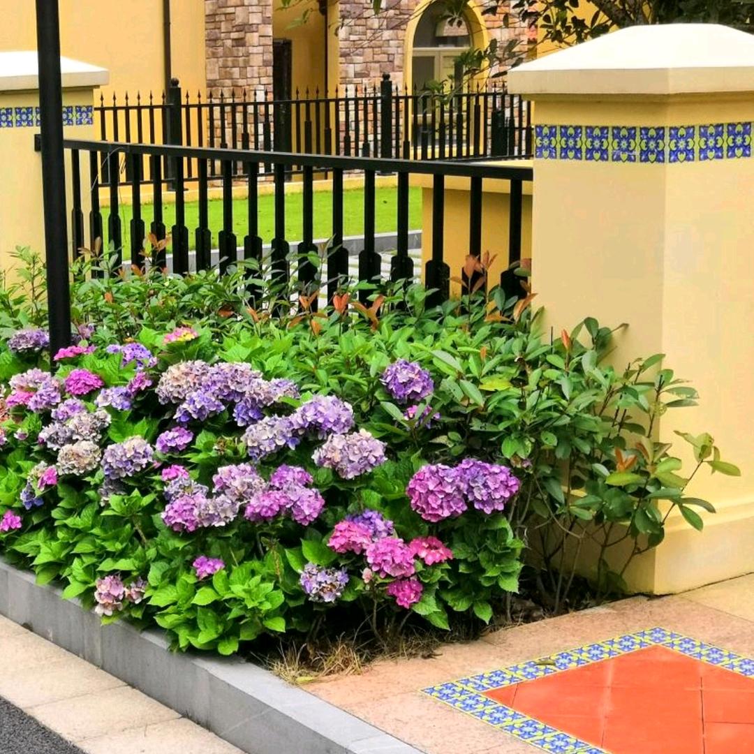 厦门悦养生活～十里蓝山悦墅康养度假别墅