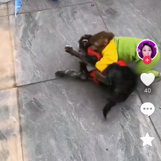 天天开心。