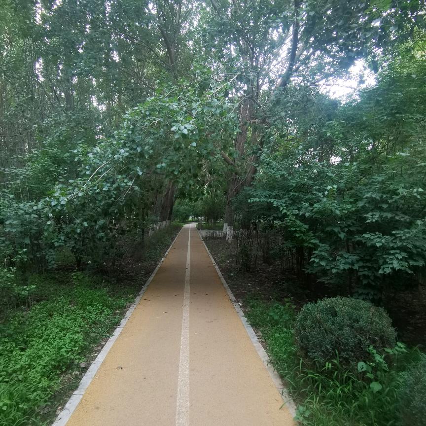尔东