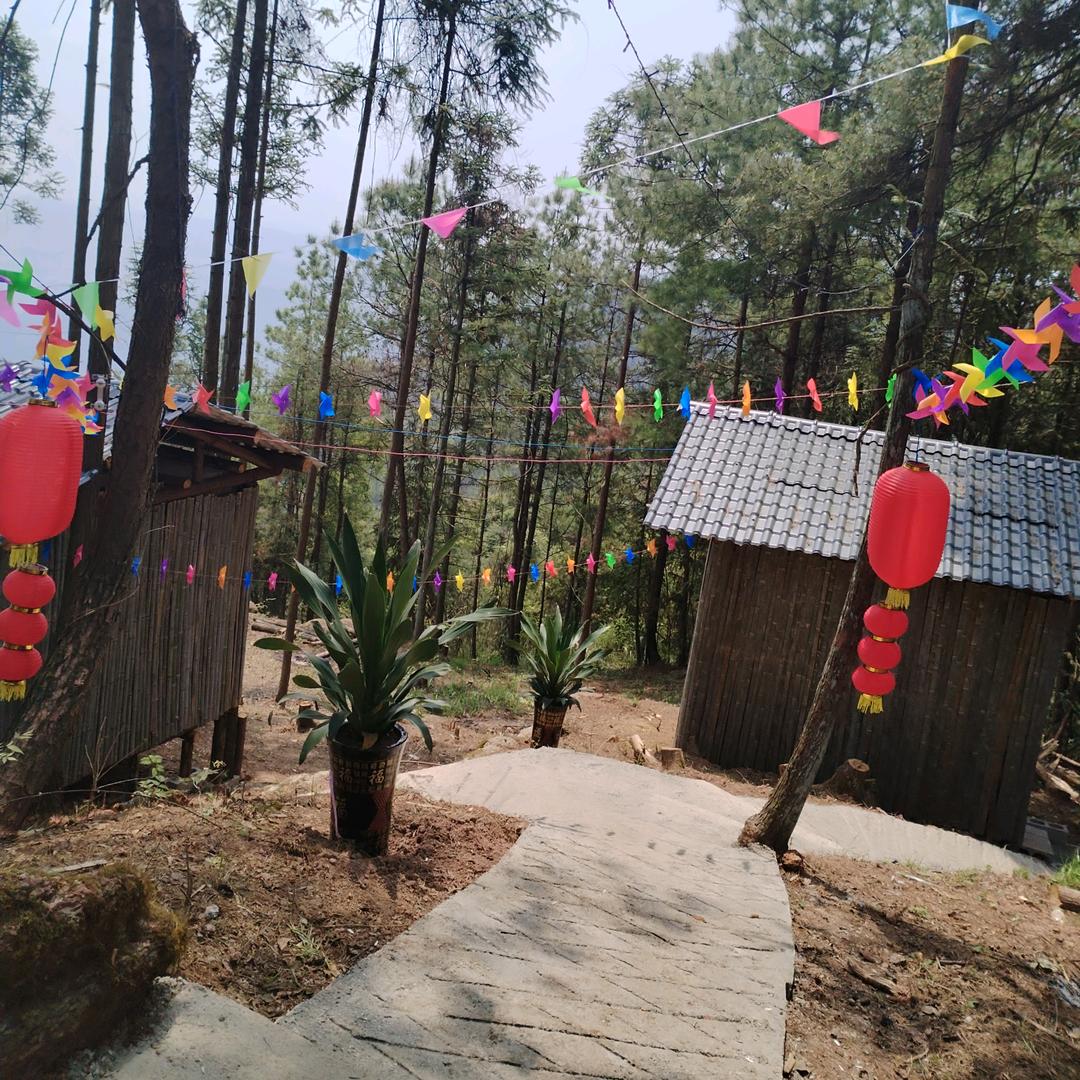 保靖天堂坡家庭农场