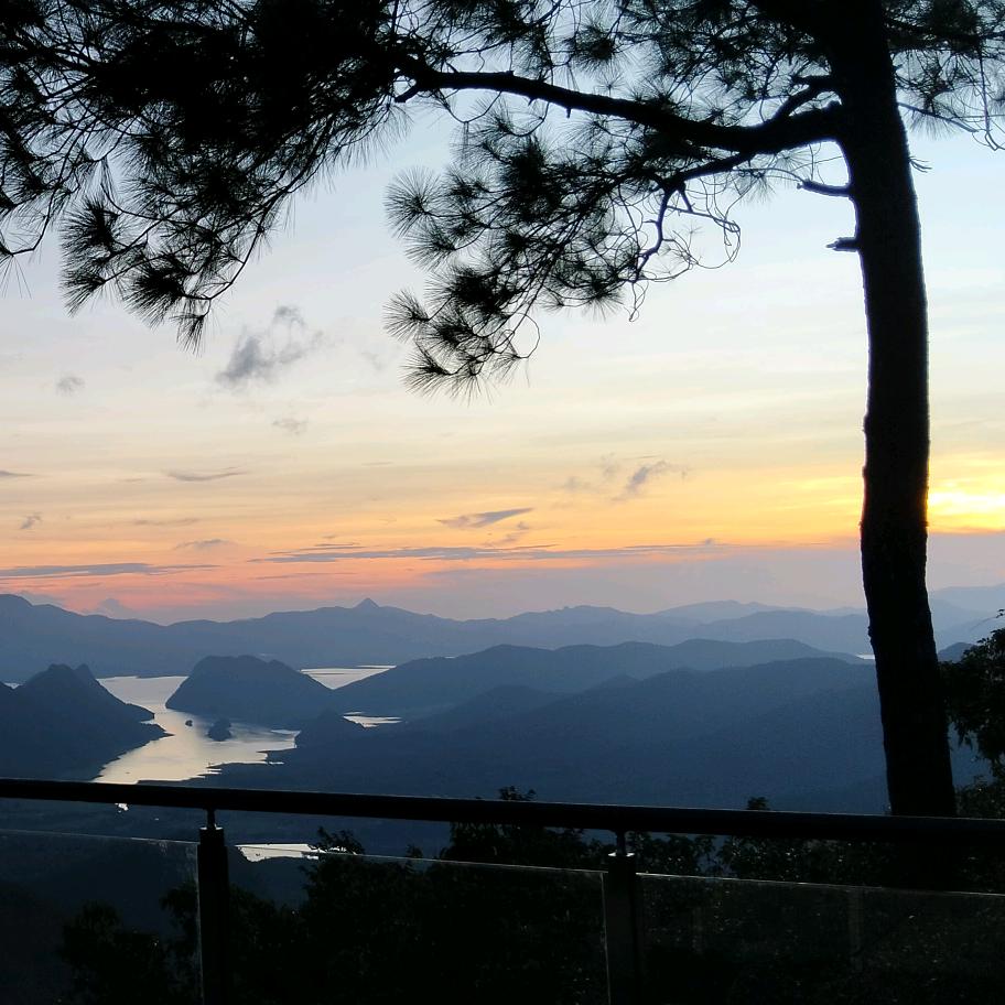 财运女友🇨🇳