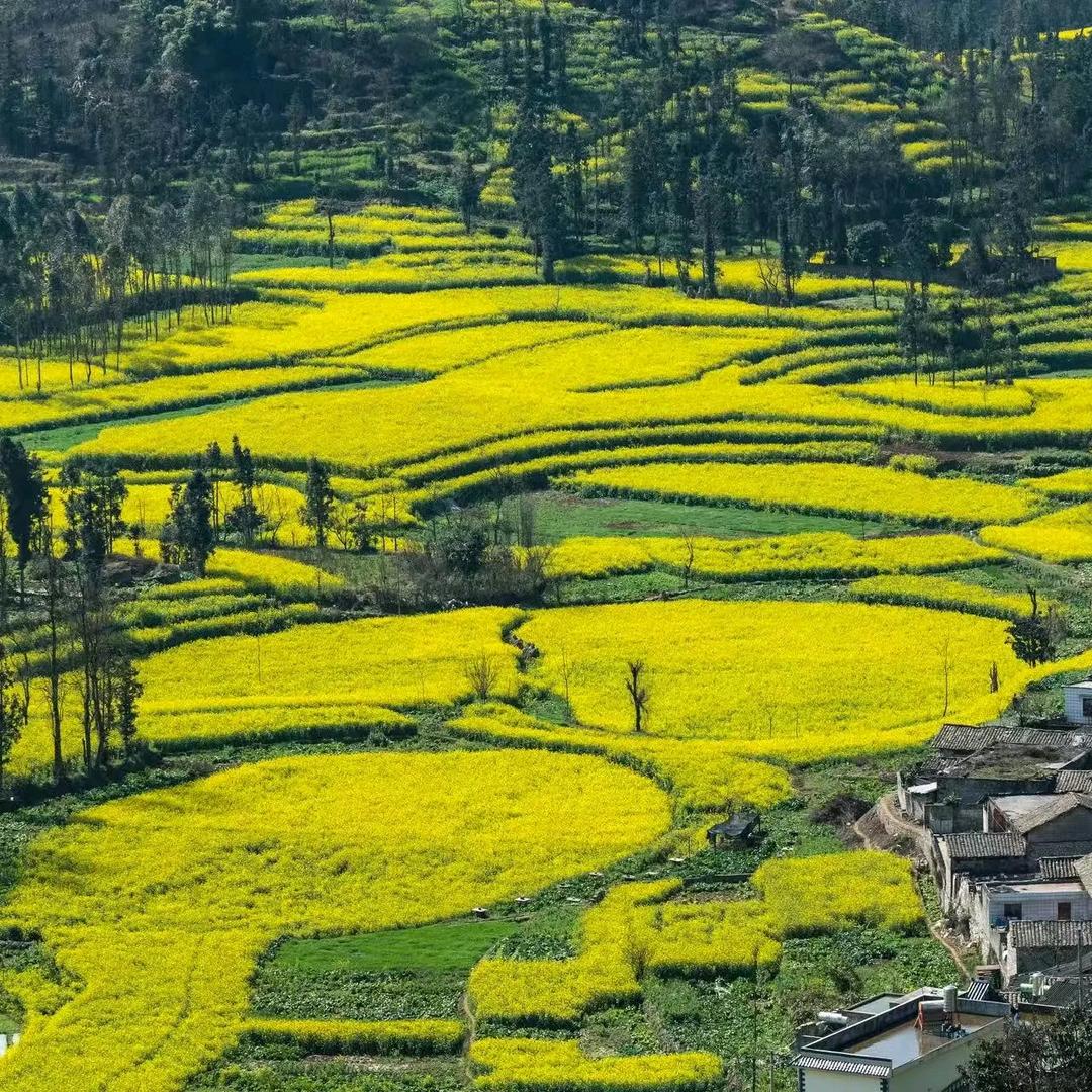 @旅行规划师—文菲