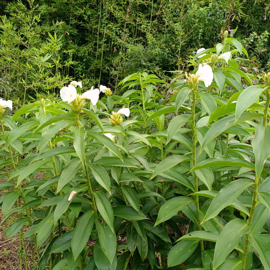 好不容易见到你。