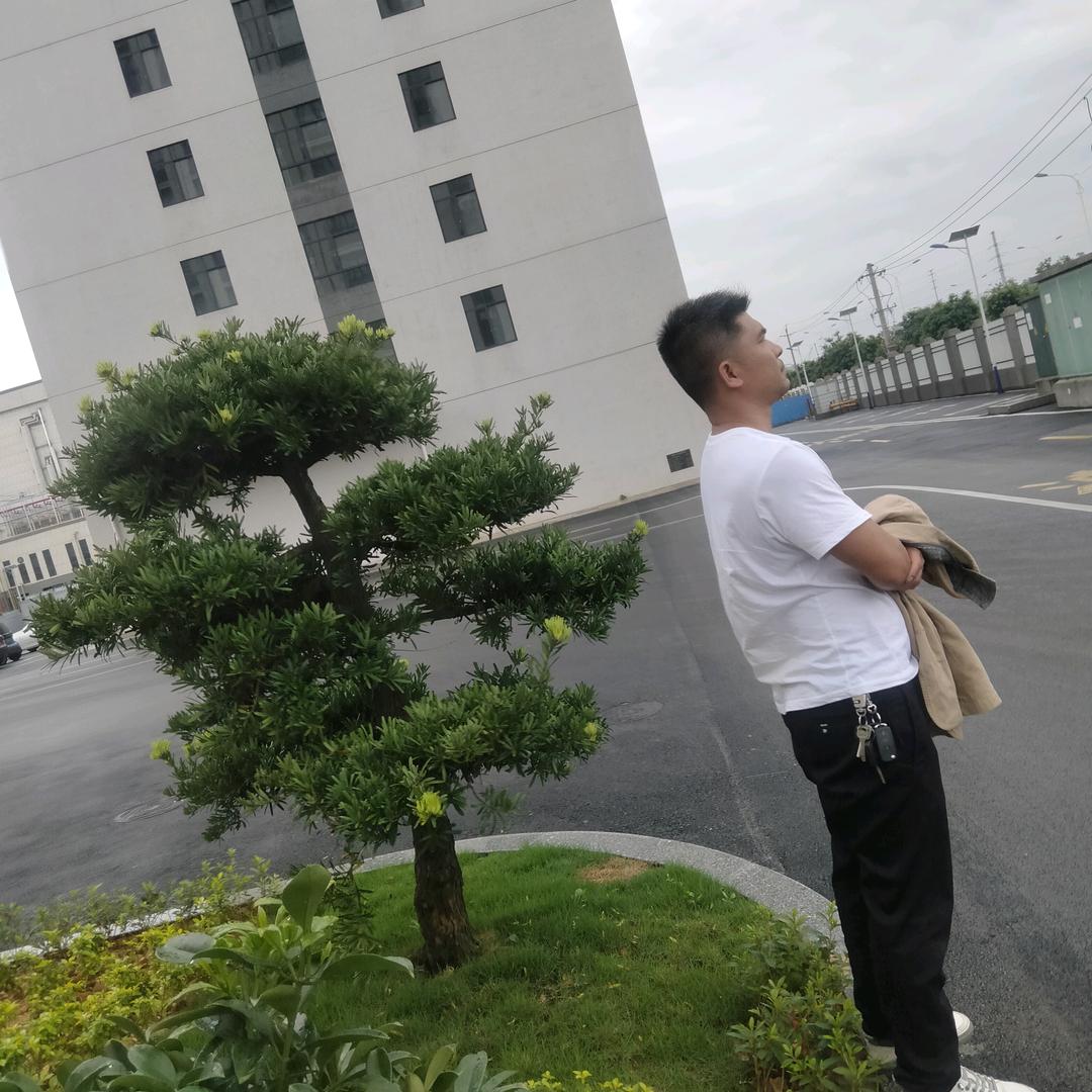 奋斗者(追梦人)