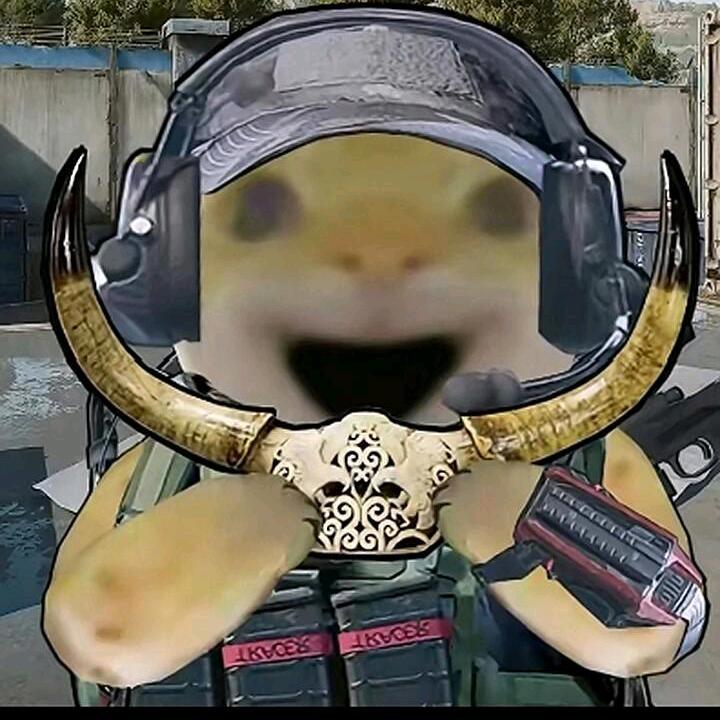 彩虹猫（三角洲）