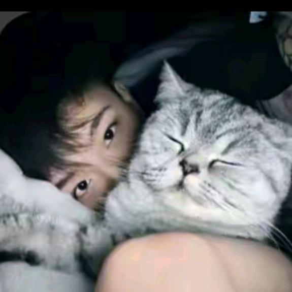 阿多....《改已进行时》