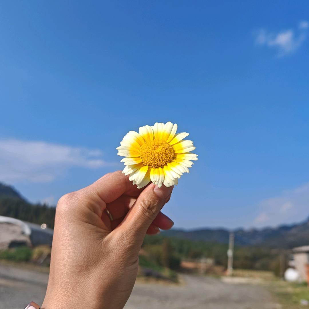 啊秋🍓