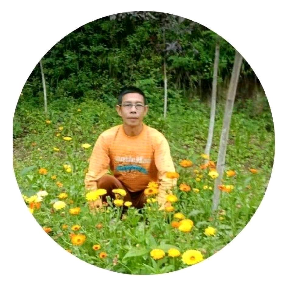王哥