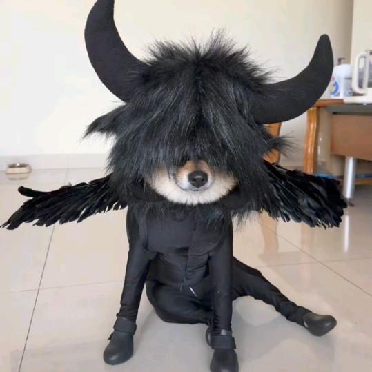 猴²