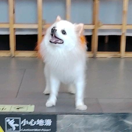 玄信