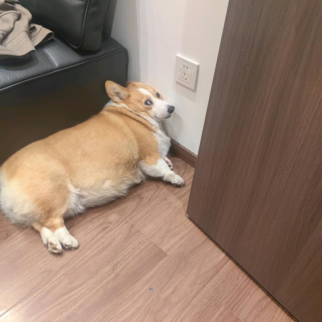 两点水