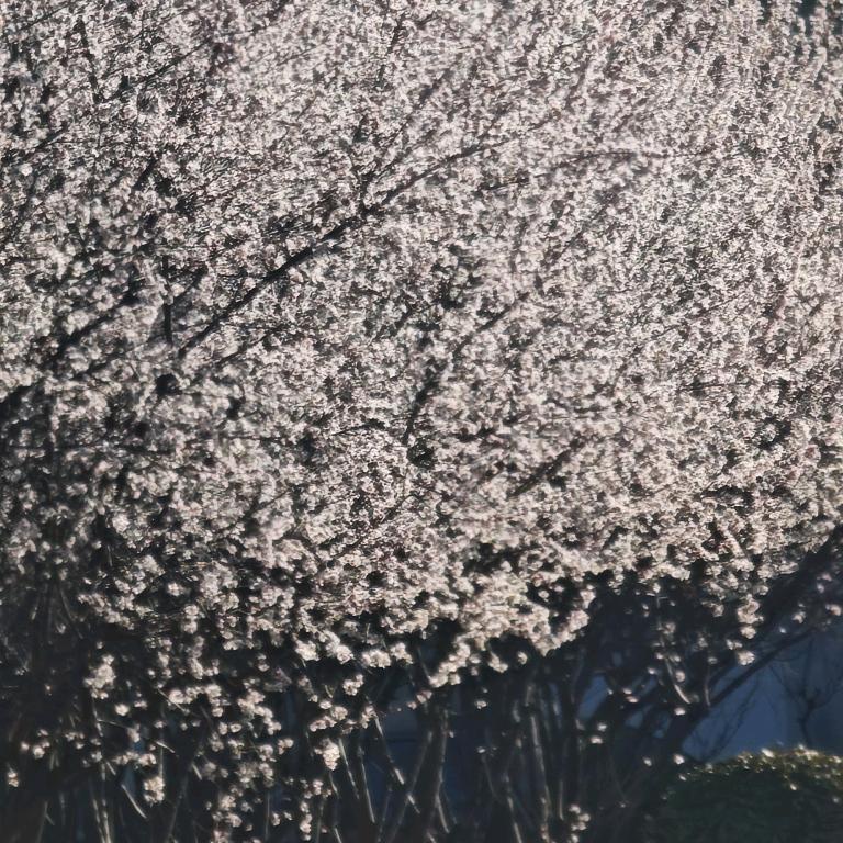 厚德载物