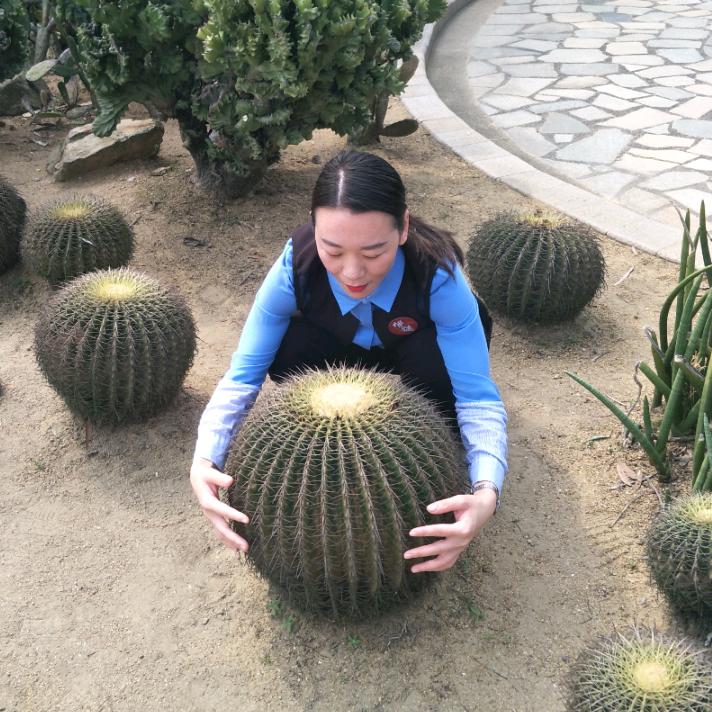 耿直靠谱小燕姐