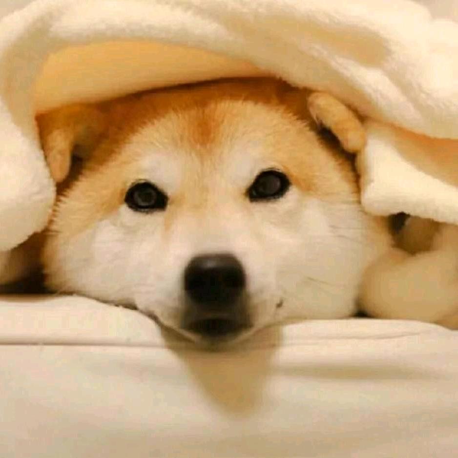 不想熬夜
