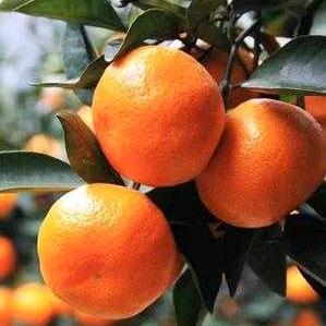 梦想成真🌞🌹🌹