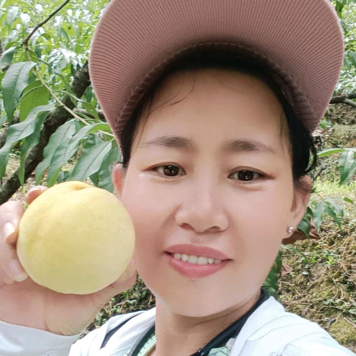 南湾黄桃妹（阿凤）小号