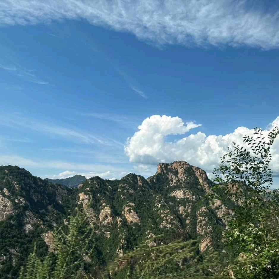 东方鼎信～金立果业