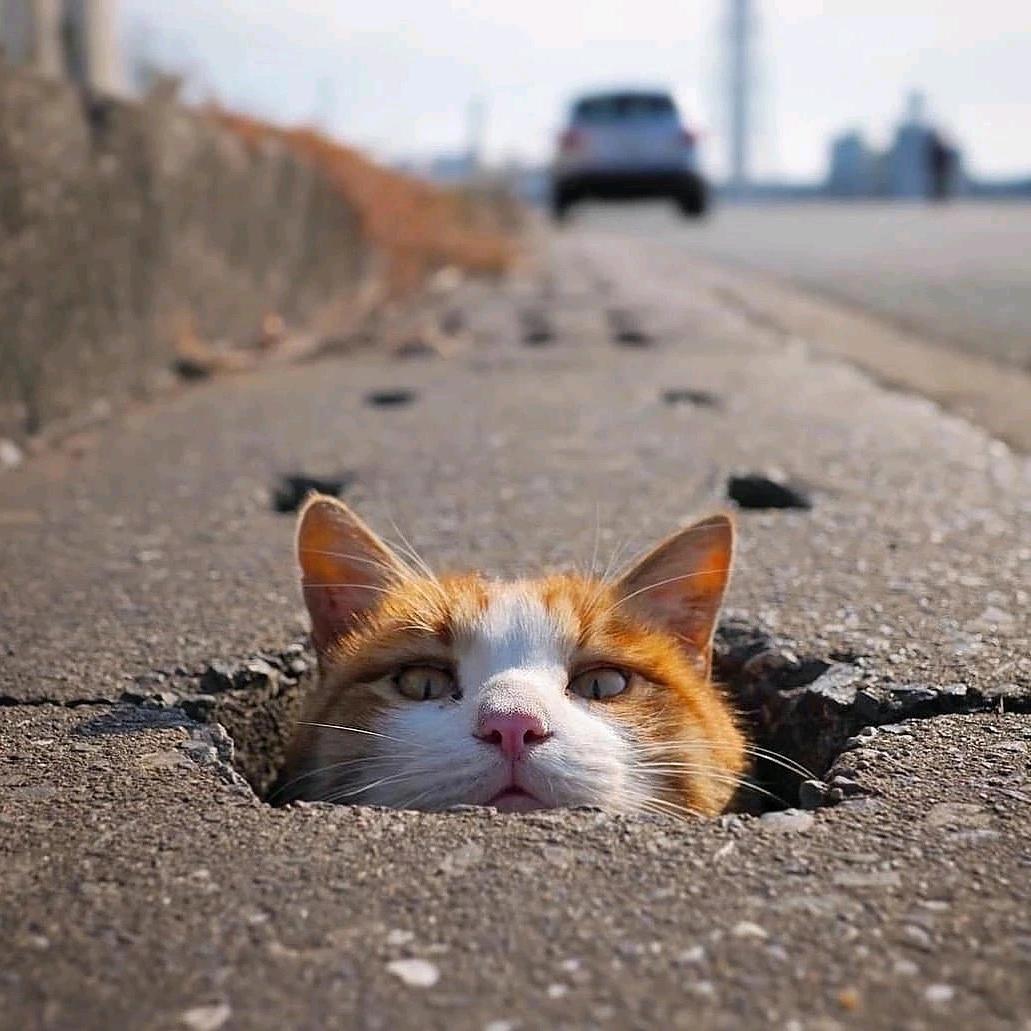 Low entropy