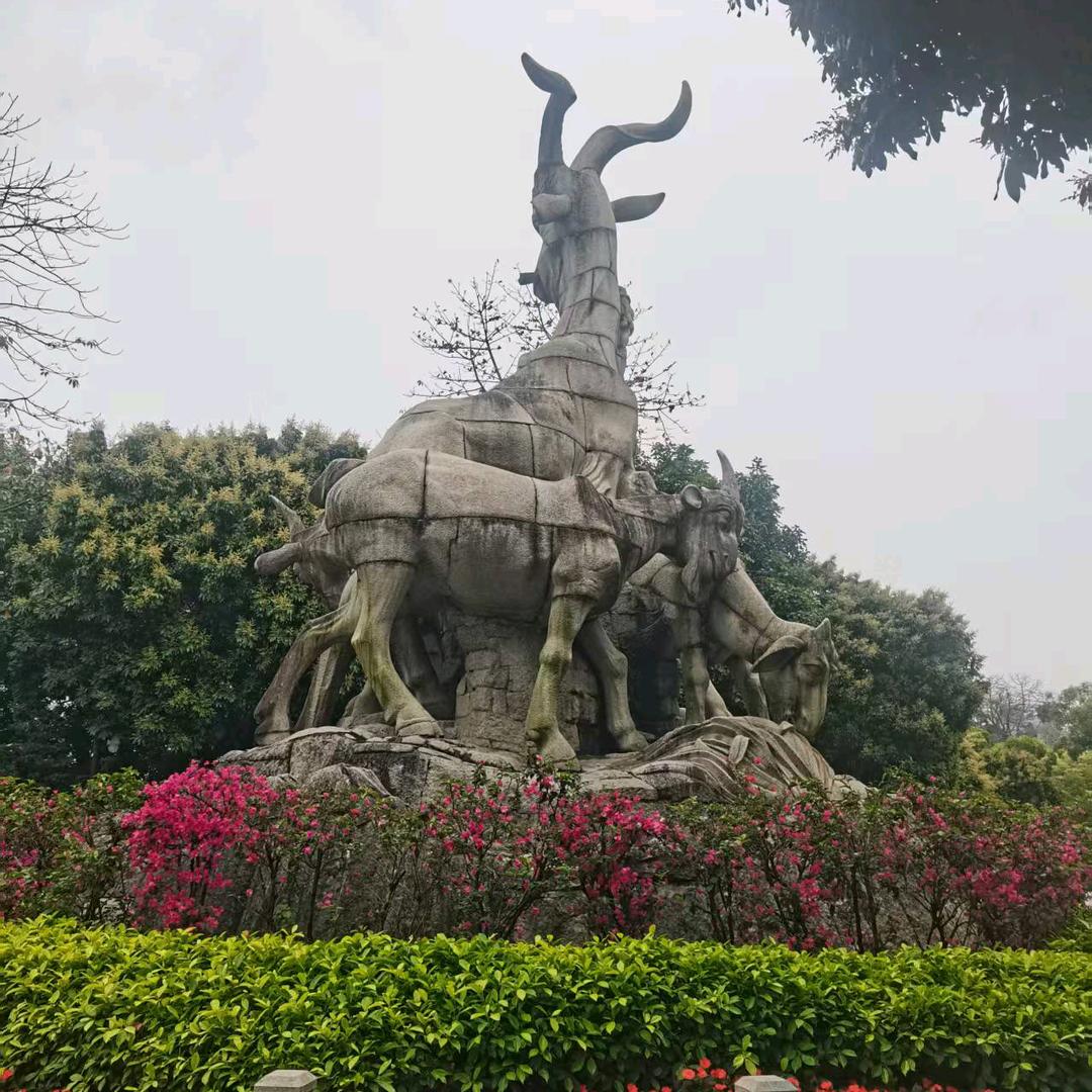 叶落归舟