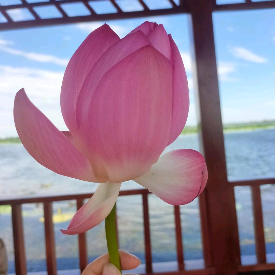 小写生活,大有爱