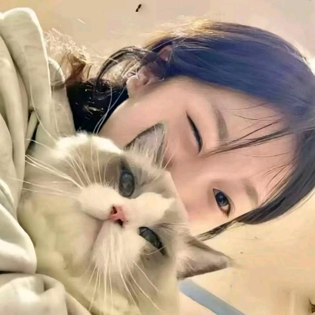 全剧终