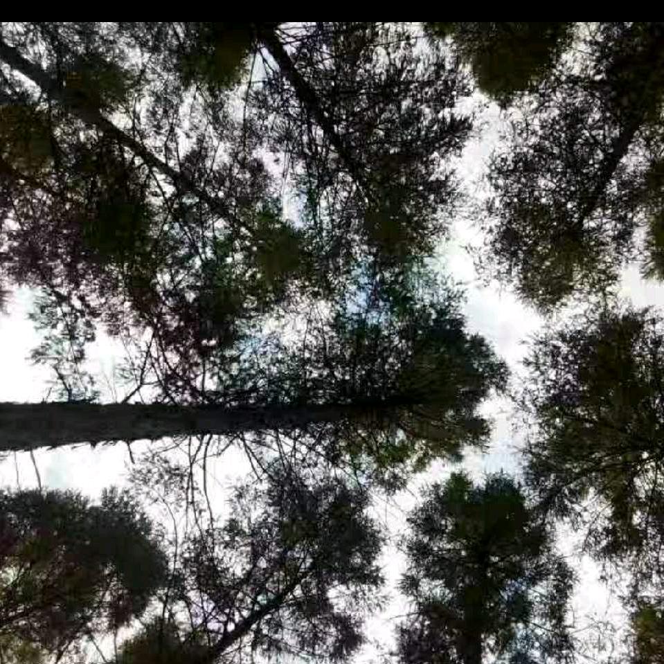 小哥