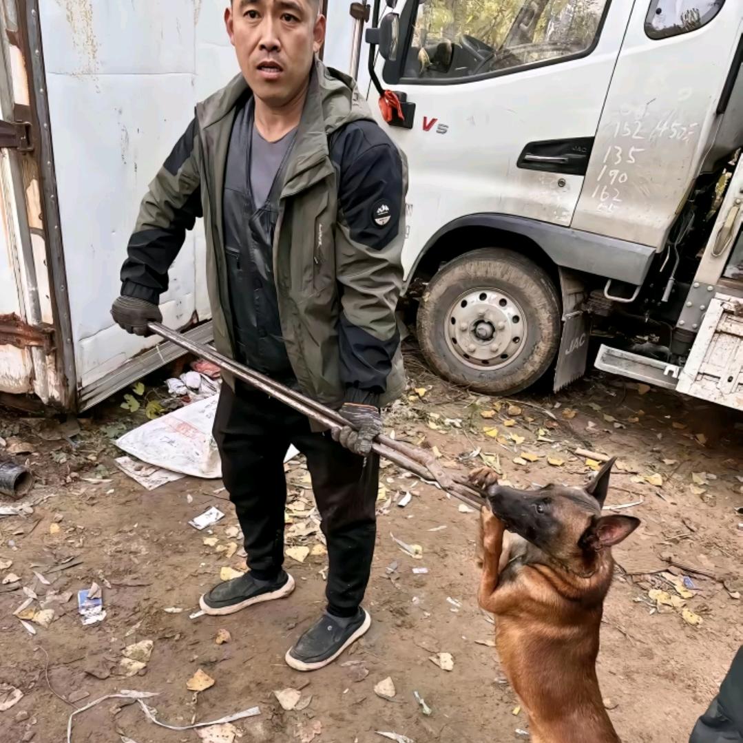 AAA专业套狗刘哥