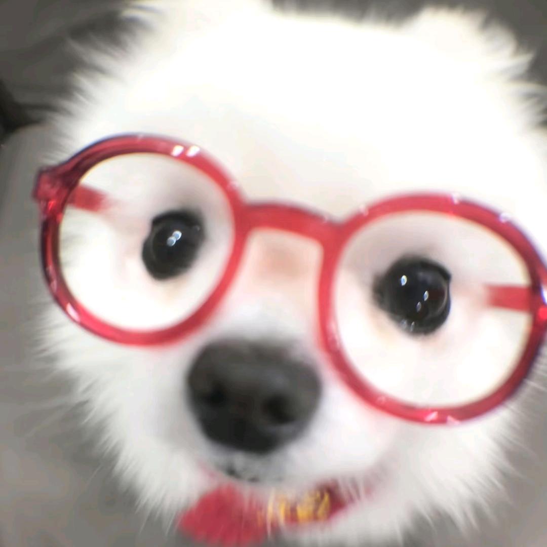 杏仁璐