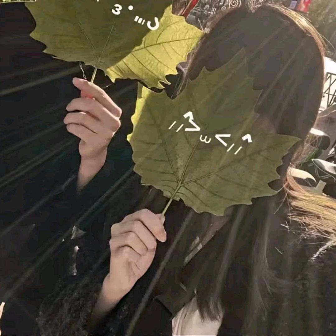 蜡笔小欣