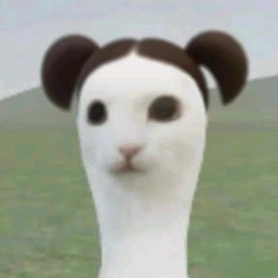 渺