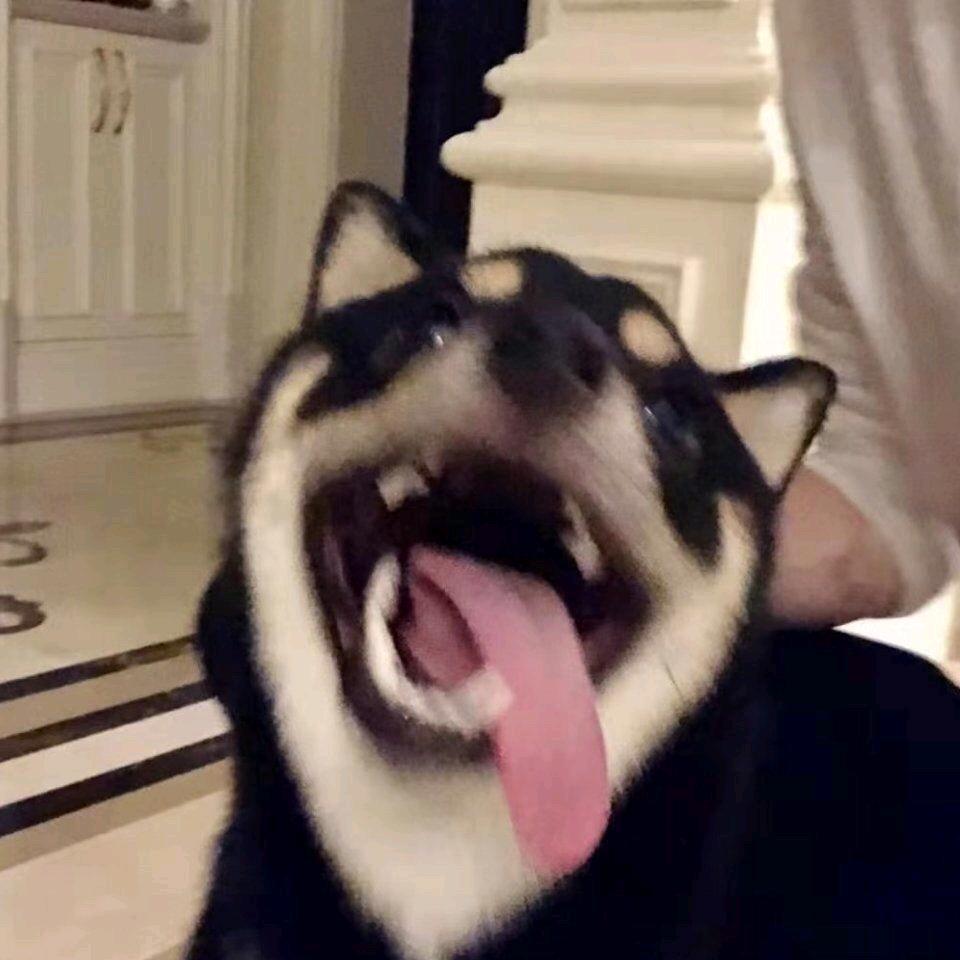 艺