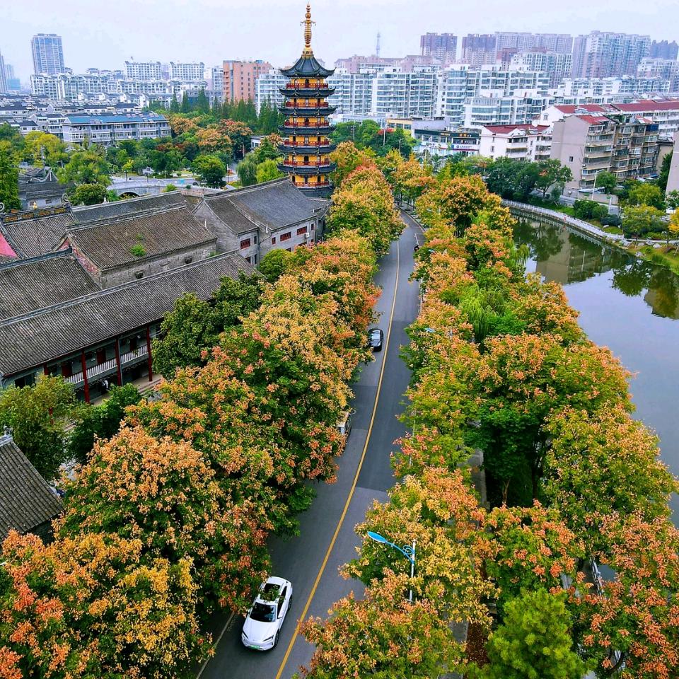 👑🐰🐰寒江🐰🐰 👑