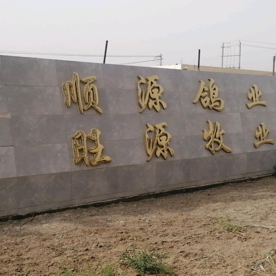 尉犁县顺源鸽业