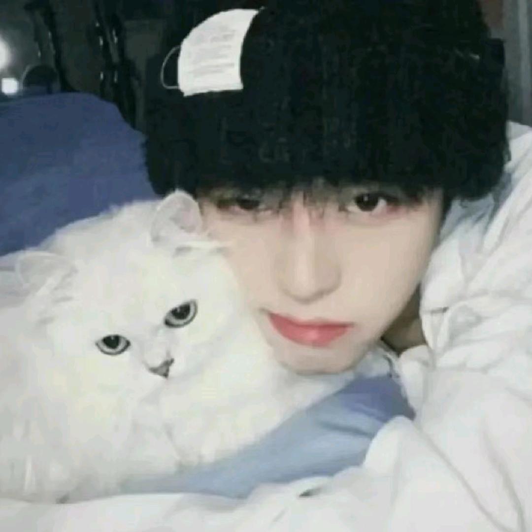 司澄喜欢梅狸猫