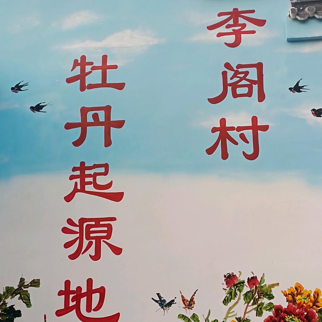 春夏秋冬