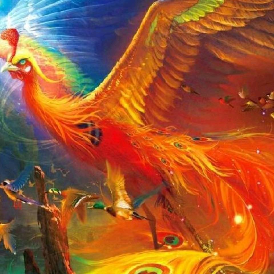 凤舞九天;广结善缘