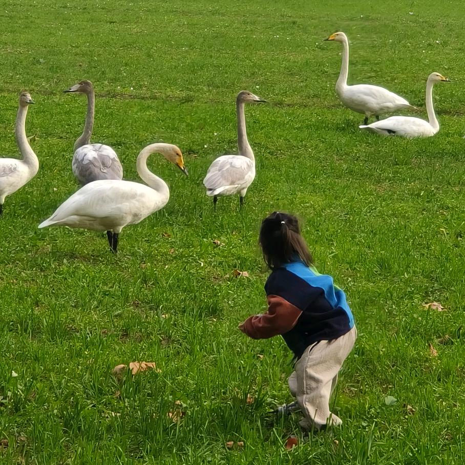 懒妈一个（皮肤修护中）