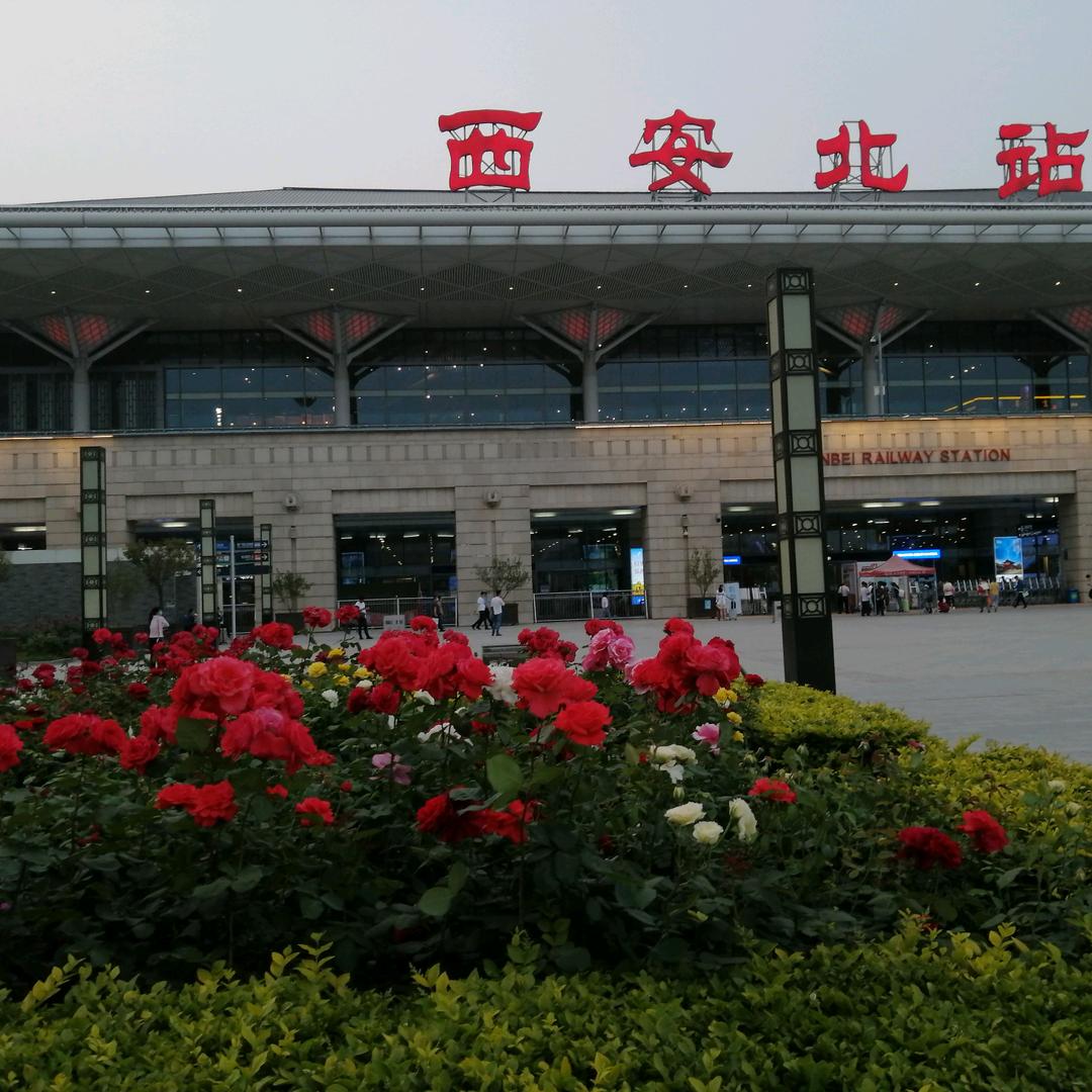 红梅