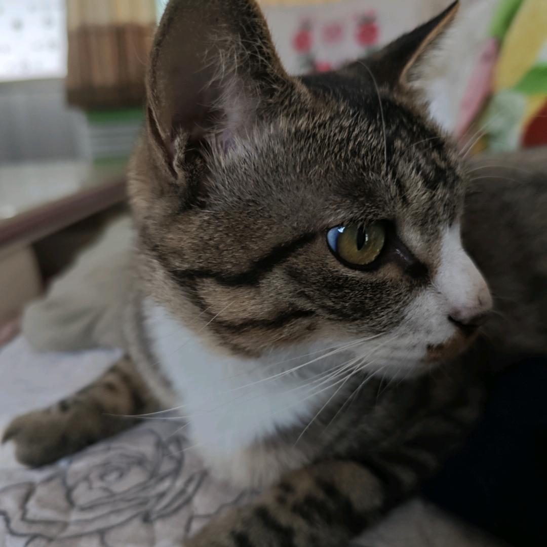 白遇
