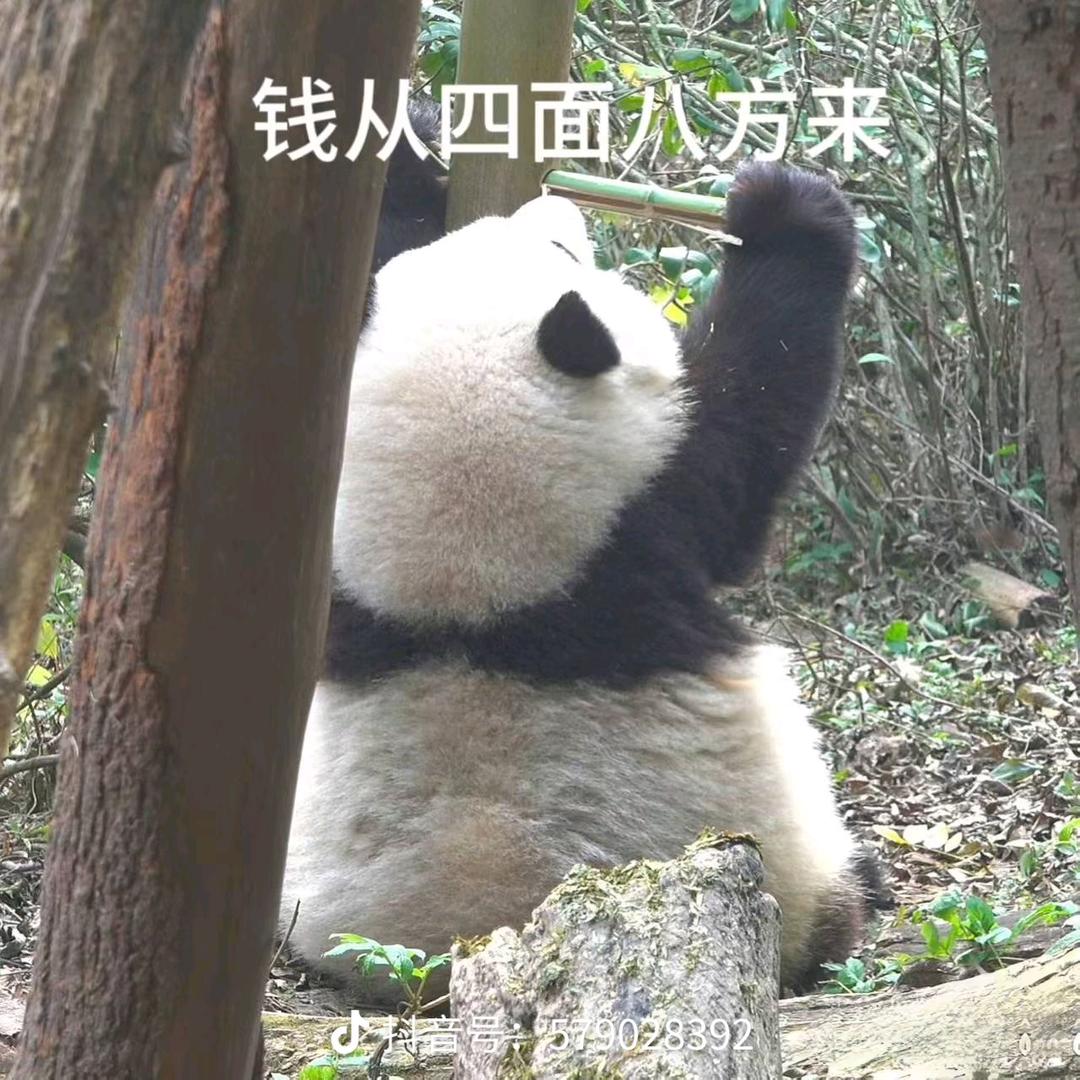搞💰搞钱