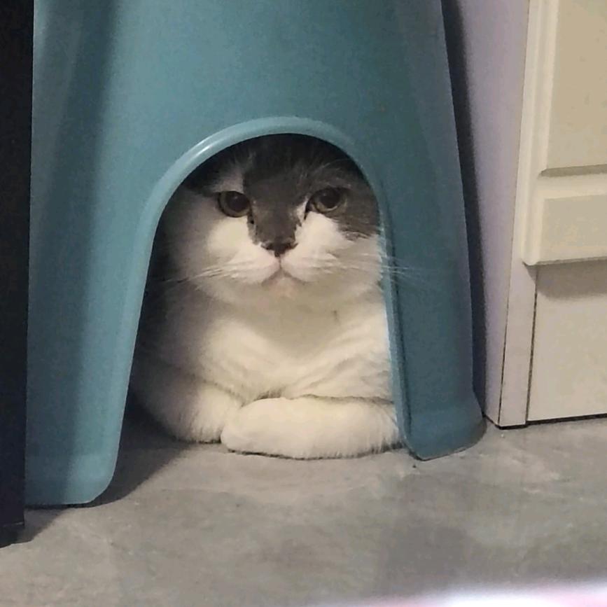 꺼져