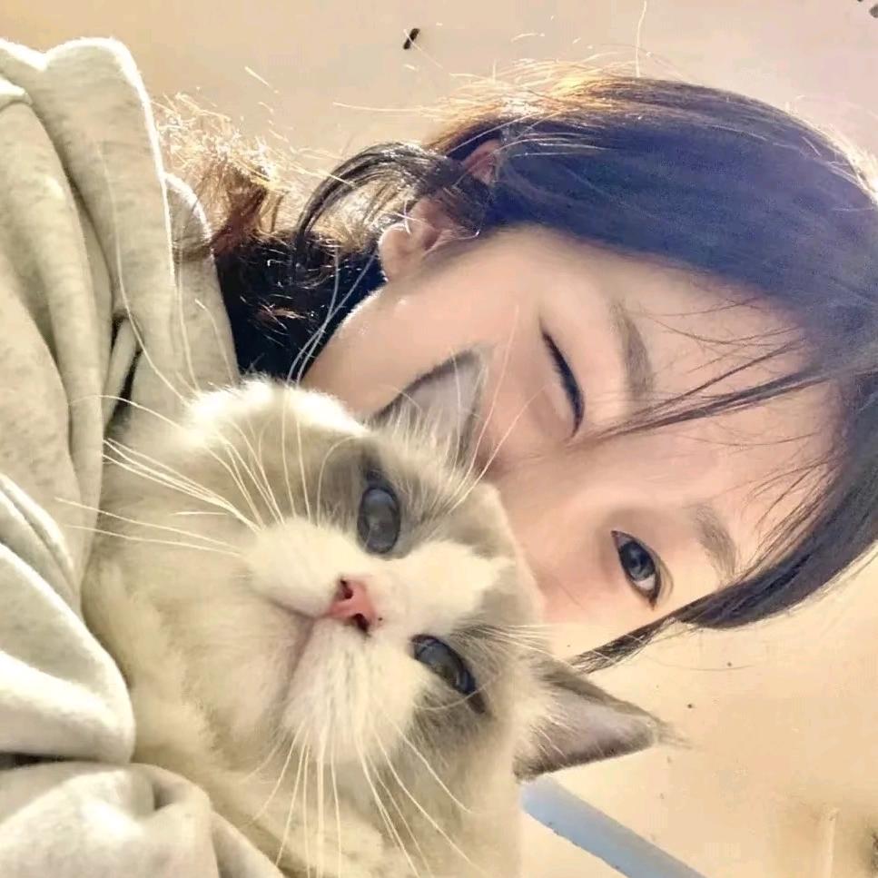 芝麻好困💤