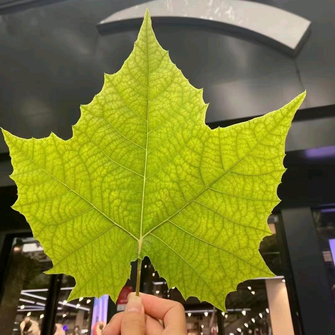 好心情