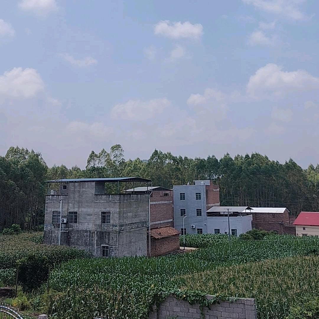 小辣椒